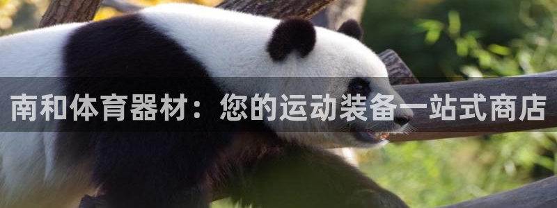 星欧娱乐被扣款7IIII怎么关闭：南和体育器材：您的