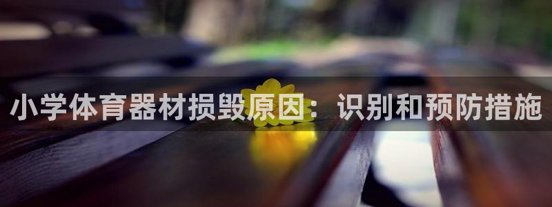 星欧娱乐公司电话号码多少：小学体育器材损毁原因：识别