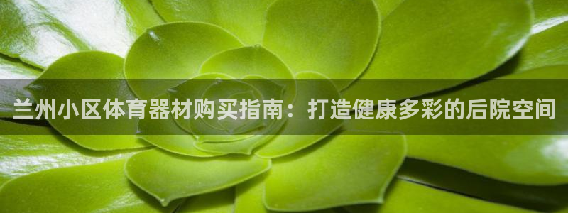 星欧娱乐平台