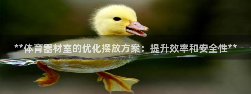 星欧娱乐联售后服务评价：**体育器材室的优化摆放方案