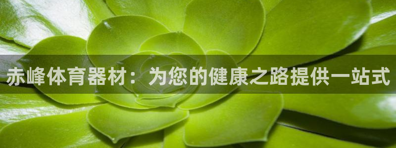 星奥盛典娱乐会所：赤峰体育器材：为您的健康之路提供一
