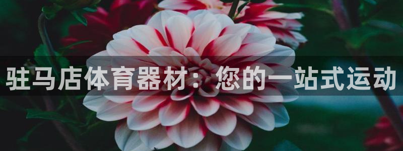 星欧娱乐扣款时间查询方法怎么查不了