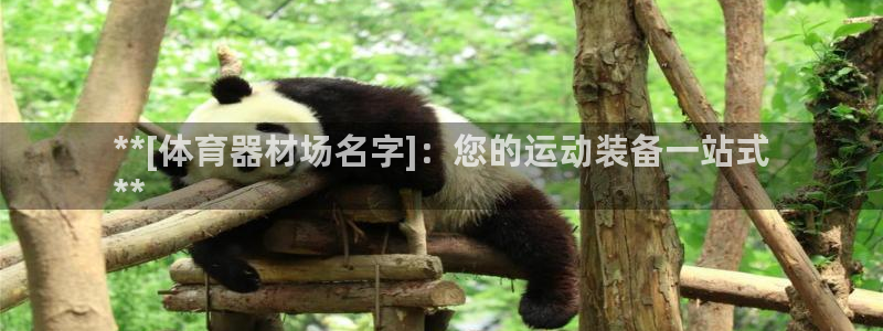 星欧娱乐公司简介：**[体育器材场名字]：您的运动装