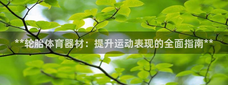 星欧娱乐是正规平台吗安全吗是真的吗：**轮胎体育器材