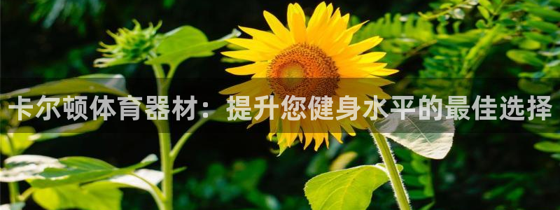星奥娱乐集团股份有限公司怎么样：卡尔顿体育器材：提升