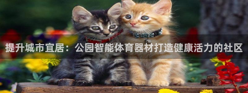 星欧娱乐官网下载安卓