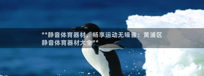 星欧娱乐是正规平台吗知乎：**静音体育器材，畅享运动