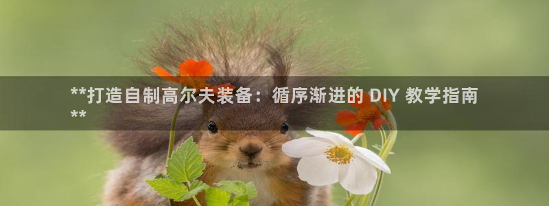 星欧娱乐扣款怎么回事：**打造自制高尔夫装备：循序渐
