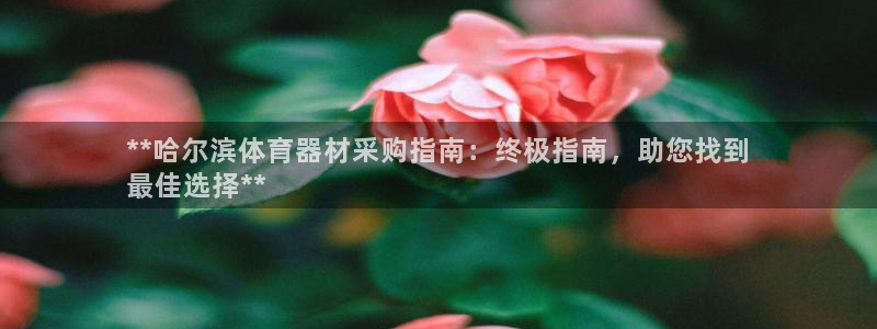 星欧娱乐是正规平台吗知乎文章