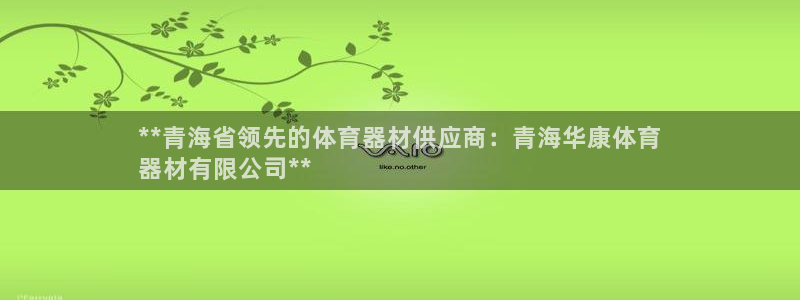 星欧娱乐公司创始人背景故事简介：**青海省领先的体育