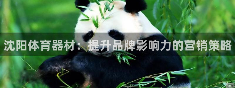 星欧娱乐公司电话号码：沈阳体育器材：提升品牌影响力的