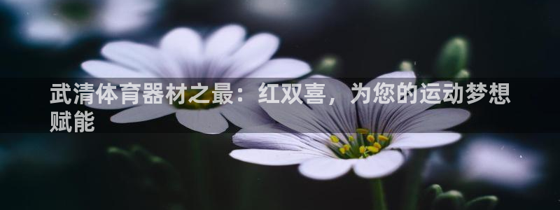 星欧娱乐最建议买的三个游戏是什么：武清体育器材之最：