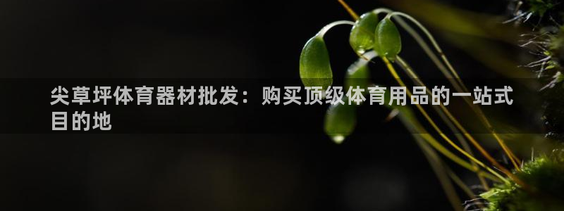 星欧娱乐平台方7O777：尖草坪体育器材批发：购买顶