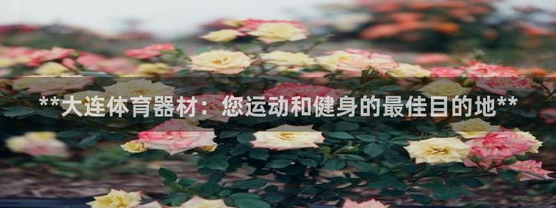星欧娱乐发7O777：**大连体育器材：您运动和健身