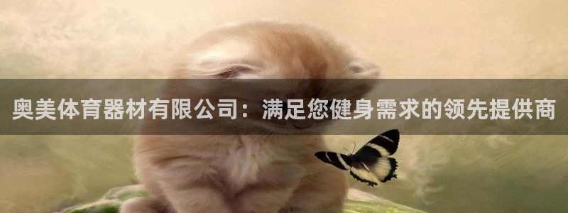 星欧娱乐平台怎么样可靠吗：奥美体育器材有限公司：满足