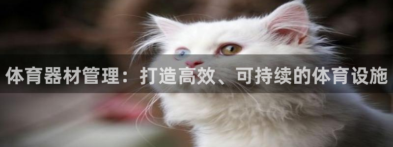 星欧娱乐用户名和密码：体育器材管理：打造高效、可持续