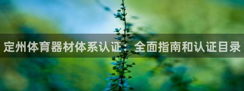 星欧娱乐属于什么档次的网站啊：定州体育器材体系认证：