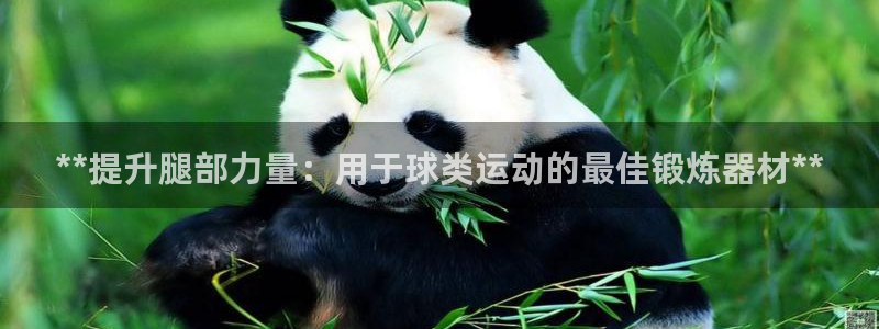 星欧娱乐游戏中心官网登录：**提升腿部力量：用于球类