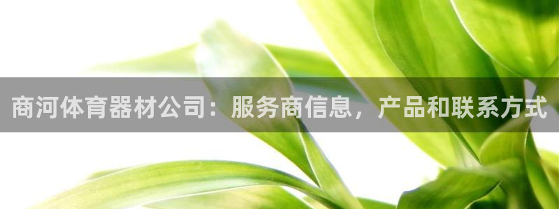 星欧娱乐官方客服联系方式查询：商河体育器材公司：服务
