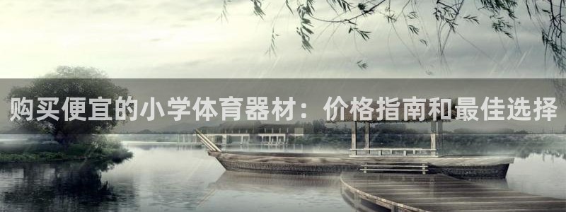 星欧娱乐平台怎么样可靠吗知乎：购买便宜的小学体育器材
