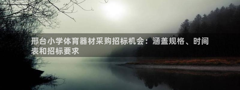 星欧娱乐最建议买的三个产品：邢台小学体育器材采购招标