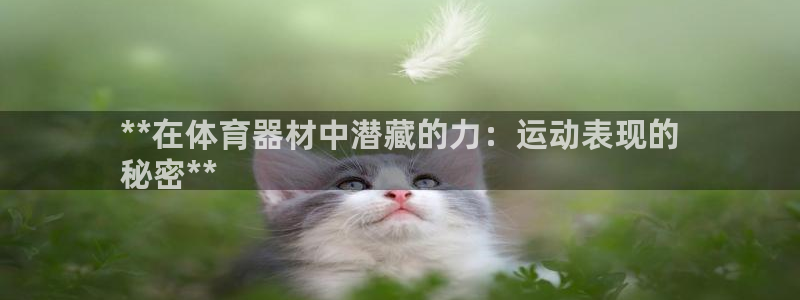 星娱乐online创作的原声：**在体育器材中潜藏的