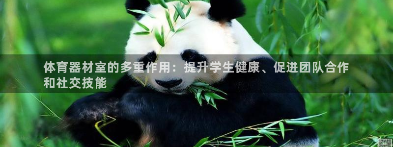 星欧娱乐的官方版本更新内容