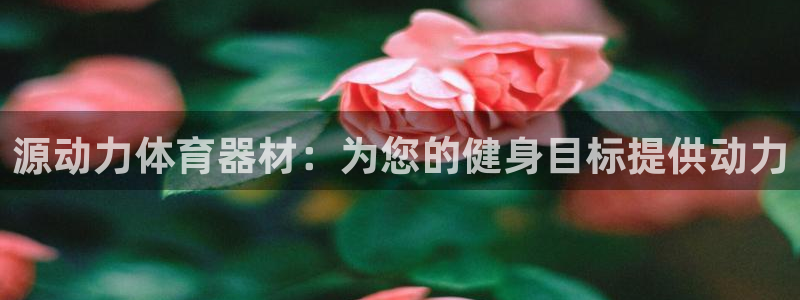 星欧娱乐银行卡怎么登录：源动力体育器材：为您的健身目