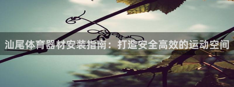 星欧娱乐最建议买的三个产品有哪些：汕尾体育器材安装指