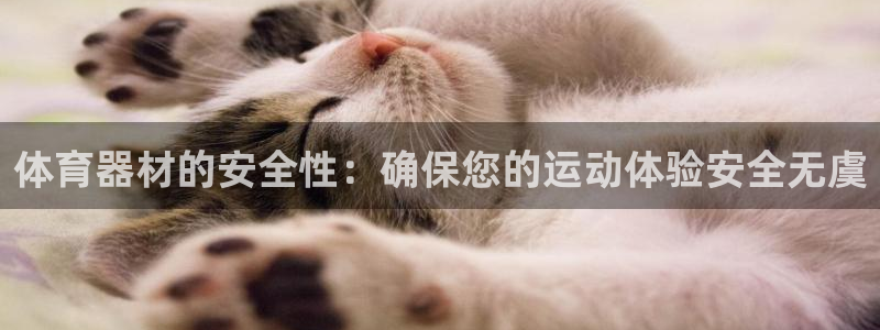 星欧娱乐还能玩吗：体育器材的安全性：确保您的运动体验安全无虞