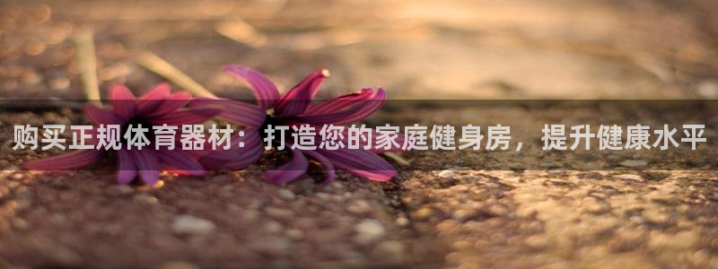 星奥娱乐怎么样知乎：购买正规体育器材：打造您的家庭健