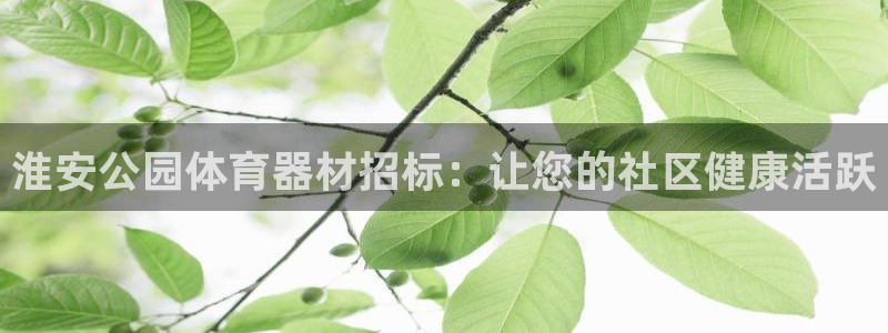 星欧娱乐彩票软件下载安装：淮安公园体育器材招标：让您的社区健