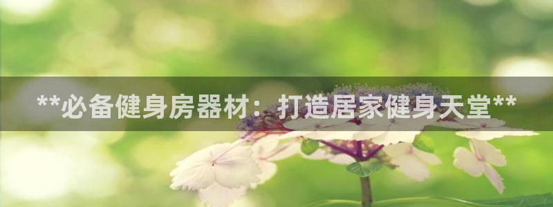 星欧娱乐的官方版本更新内容是什么：**必备健身房器材：打造居