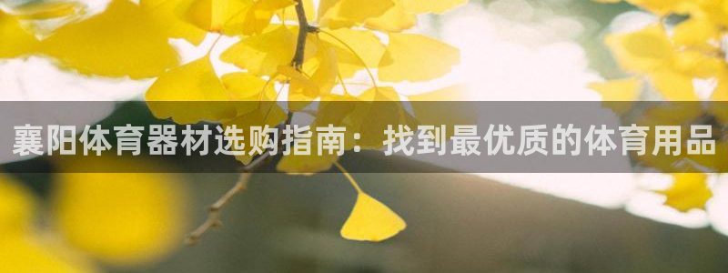 星欧娱乐彩票软件下载：襄阳体育器材选购指南：找到最优