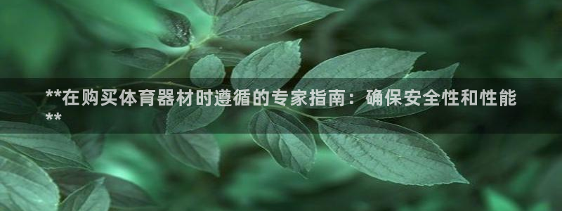 星欧娱乐用户名和密码：**在购买体育器材时遵循的专家