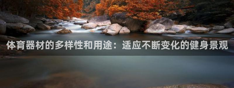 星奥娱乐集团股份有限公司招聘：体育器材的多样性和用途：适应不