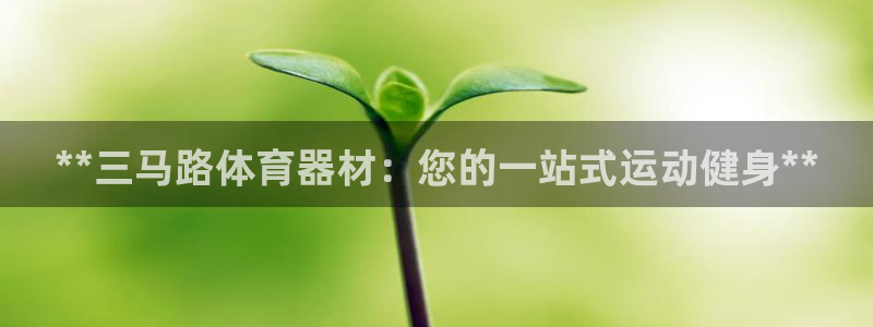 星欧娱乐公司电话号码多少：**三马路体育器材：您的一