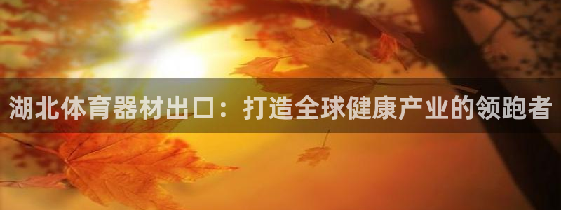 星欧娱乐测速软件下载：湖北体育器材出口：打造全球健康
