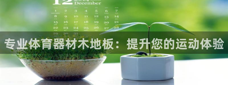 星欧娱乐属于什么档次的公司：专业体育器材木地板：提升