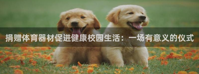 星欧娱乐官方客服联系方式查询：捐赠体育器材促进健康校