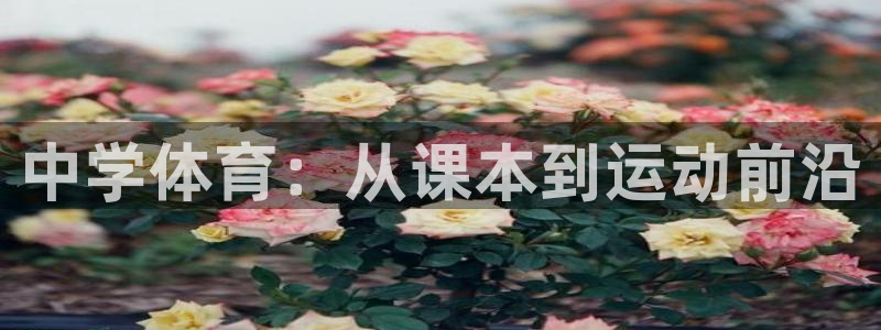 星奥娱乐集团股份有限公司官网