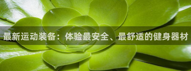 星欧娱乐的官方版本更新内容是什么