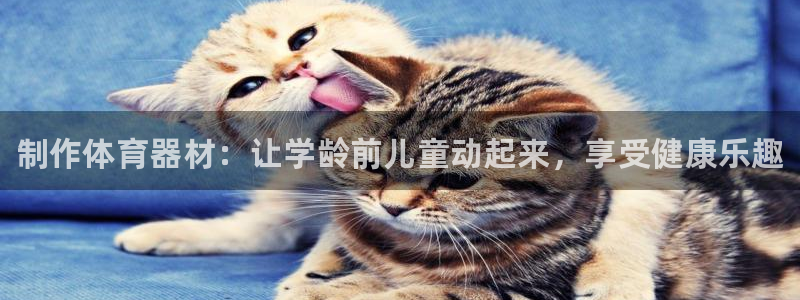 星欧娱乐法最新进展：制作体育器材：让学龄前儿童动起来，享受健