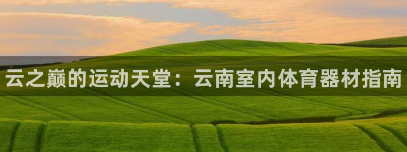 星欧娱乐工客服电话24小时人工服务：云之巅的运动天堂