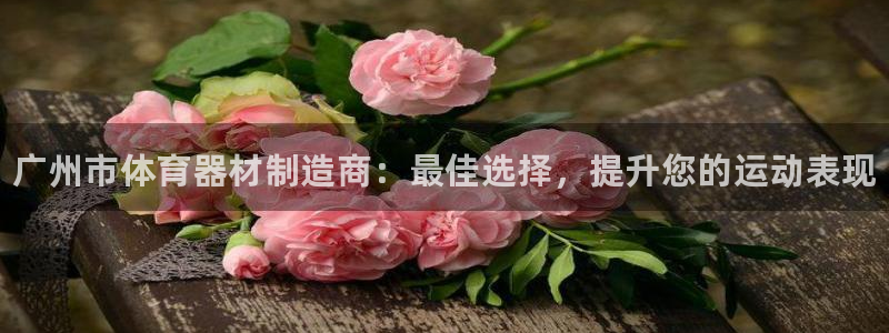 星欧娱乐巴711.112扣费记录查询方法：广州市体育器材制造