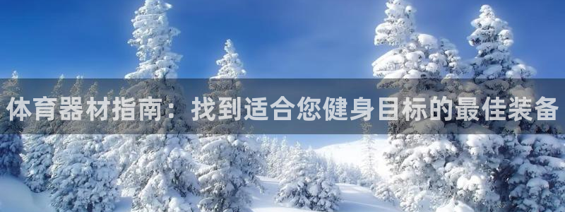 星欧娱乐挂机赚钱软件：体育器材指南：找到适合您健身目