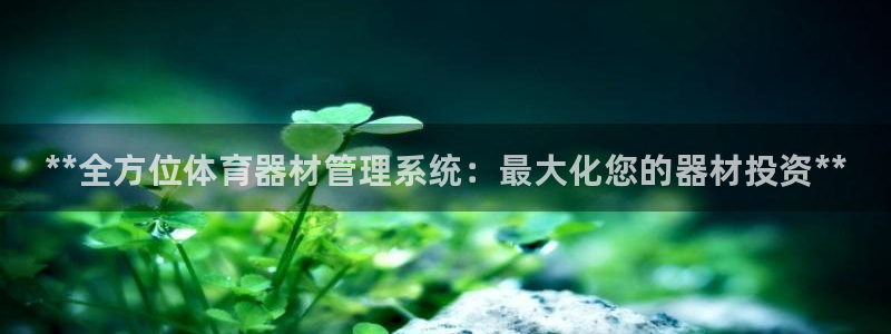 星欧娱乐游戏中心官网登录：**全方位体育器材管理系统：最大化