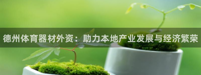 星欧娱乐挂机赚钱是真的吗：德州体育器材外资：助力本地产业发展