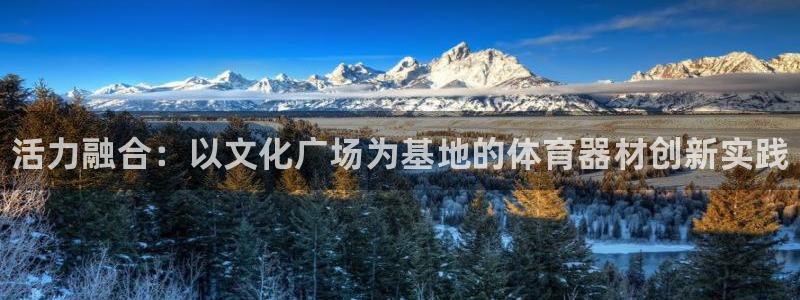 星欧娱乐官网下载：活力融合：以文化广场为基地的体育器