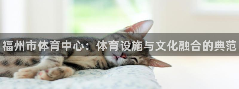 星欧娱乐扣款时间查询方法怎么查不到